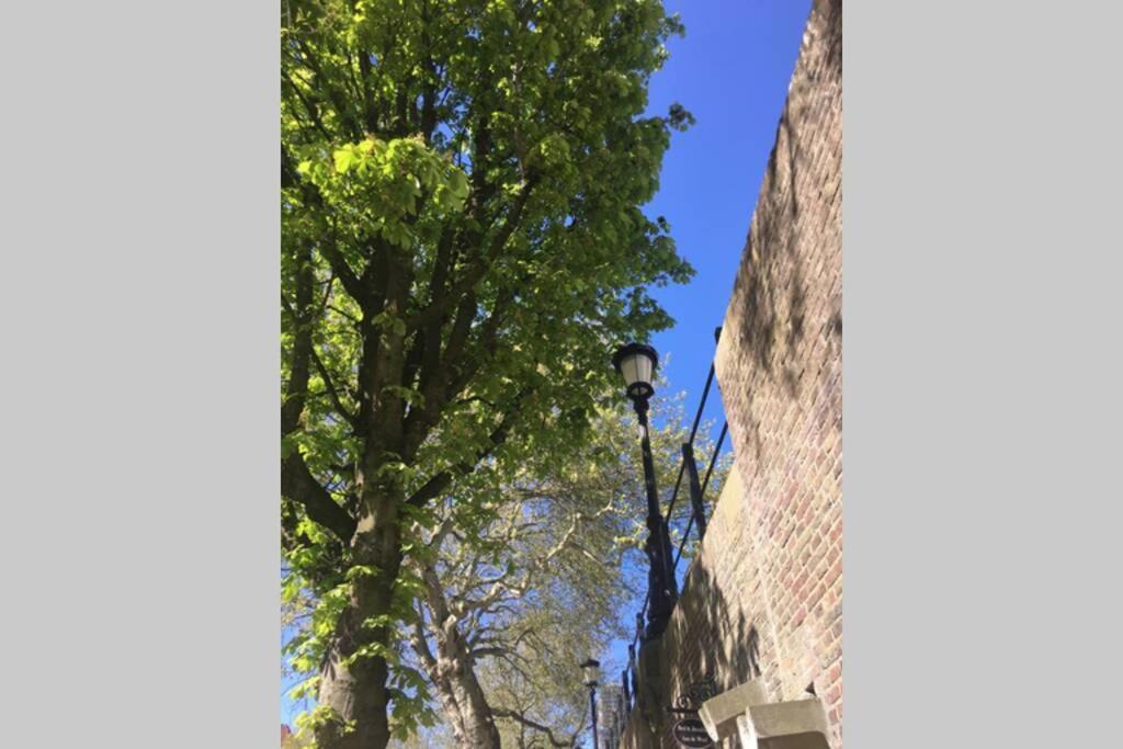 Werfkelder Aan De Oudegracht Apartment อูเทรคต์ ภายนอก รูปภาพ